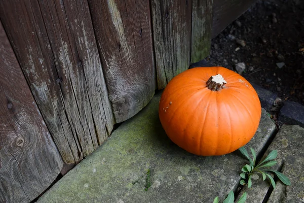 Ripe pumpkin by a weathered door — Stock Photo, Image