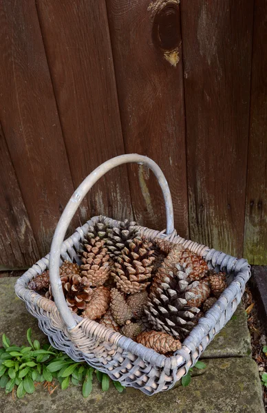 Fir cones in a basket by a wooden door — Stock Photo, Image