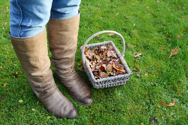 Kobieta nosi buty, stojący z koszem spadek liści — Zdjęcie stockowe