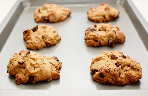 Zes cookies vers uit de oven — Stockfoto