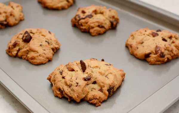 Vers gebakken chocolade Brok en pecan noten cookies — Stockfoto