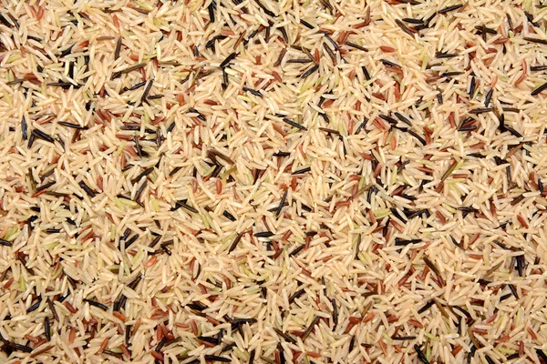 Dziki ryż brązowy basmati i czerwone tło camargue — Zdjęcie stockowe