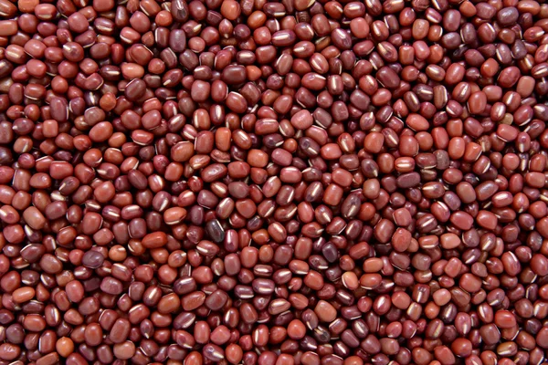 Adzuki beans background — Stock Photo, Image