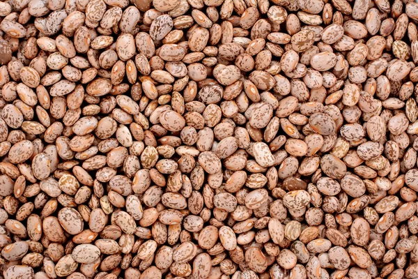 Pinto beans background — Stock Photo, Image