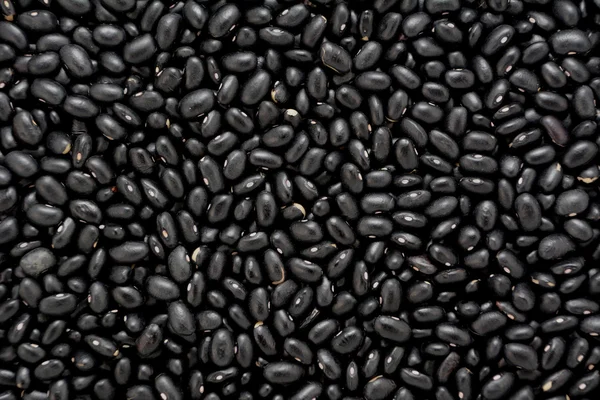 Frijoles Tortuga Negra — Foto de Stock