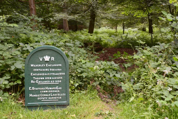Wilverley behuizing in het new forest, hampshire, Verenigd Koninkrijk — Stockfoto