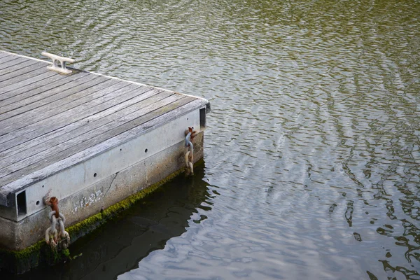 Embarcadero de madera envejecida en aguas tranquilas —  Fotos de Stock