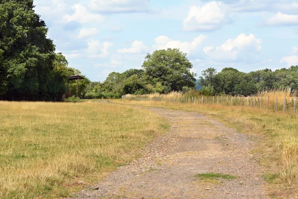 Un large sentier mène à la distance — Photo