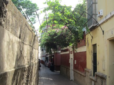 Barrio de Santa Cruz, en Sevilla. clipart