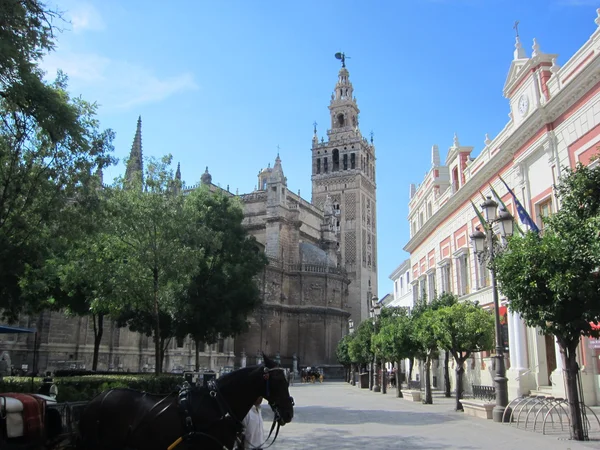 La giralda 塞维利亚 图库照片