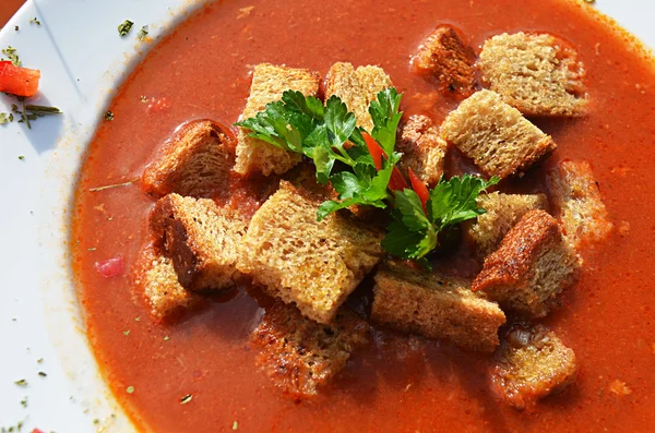 somon çorbası