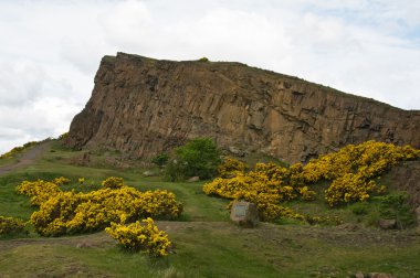 Holyrood Park (Edinburgh kayalarda)