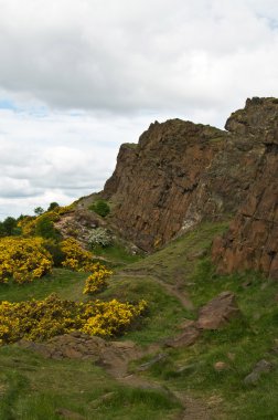 Holyrood Park (Edinburgh kayalarda)