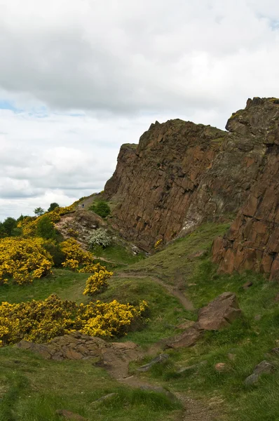 Holyrood Park (Edinburgh kayalarda)