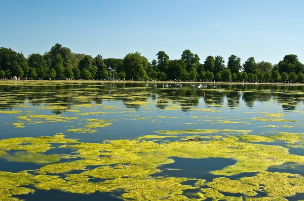 Jezero kolem rybníka v hyde parku — Stock fotografie