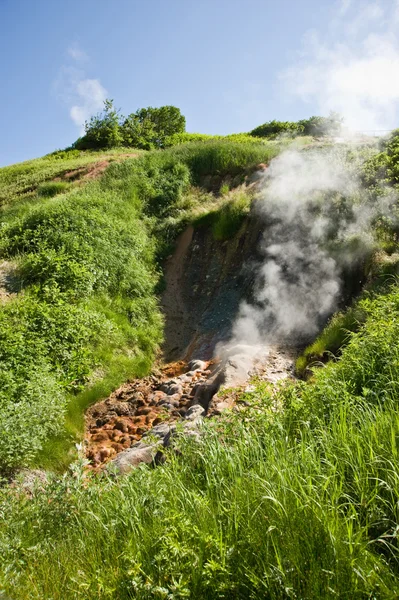 Gayzer geysers Vadisi