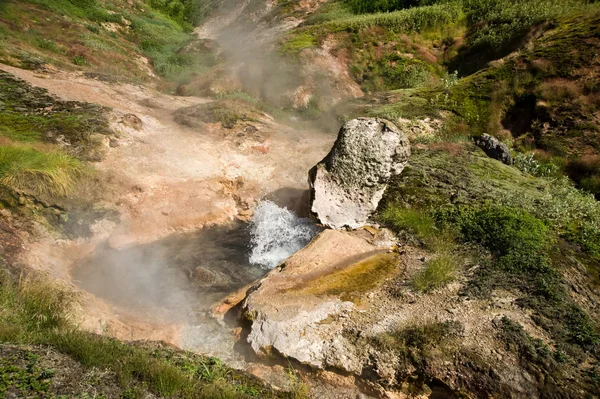 geysers vadisinde dere