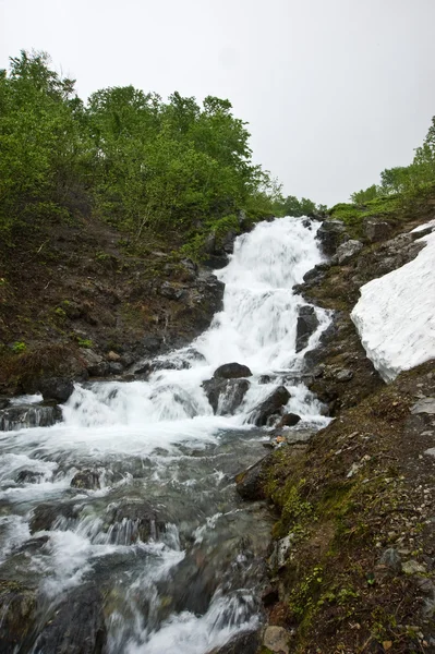 Stream with rapids — Stock Photo, Image