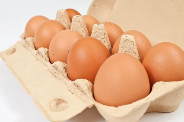 新鲜的鸡蛋 免版税图库图片