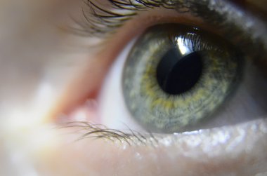 Eye macro