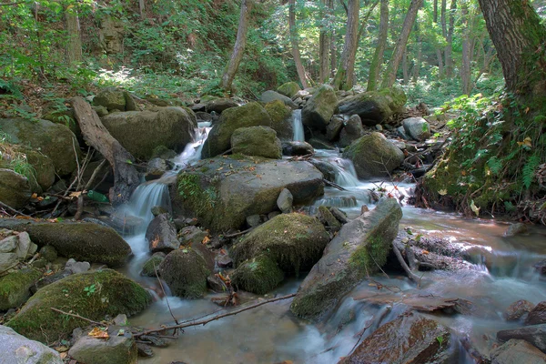 Ormandaki dağ nehri — Stok fotoğraf