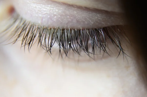 Eye macro — Stock Photo, Image