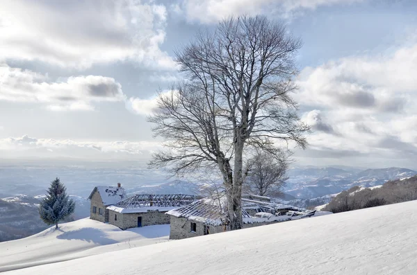 Beautifull Frozen albero silhouette paesaggio invernale — Foto Stock