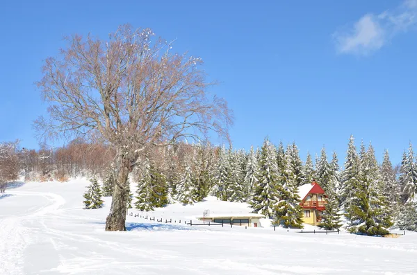 Inverno paesaggio sfondo — Foto Stock