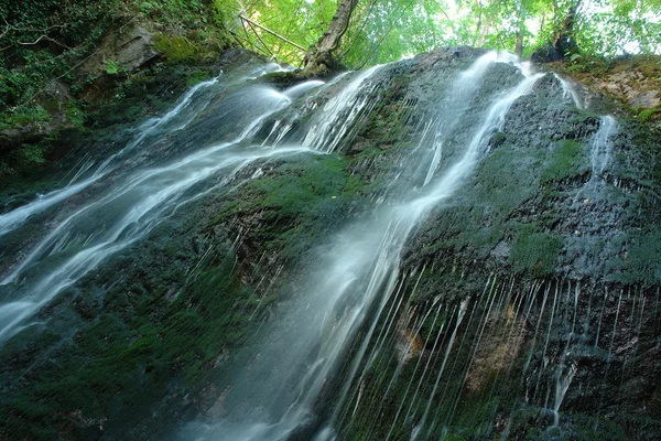 Skog vattenfall och stenar — Stockfoto