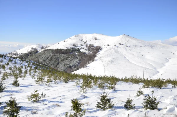 冬季雪山脉山峰与晴朗的天空在马其顿 — 图库照片