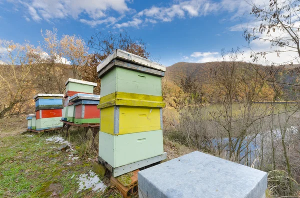 Honey bee hives box — Stock Photo, Image