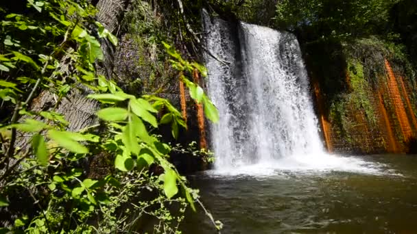 Cachoeira da floresta nublada, fundo de folhagem de grande ângulo — Vídeo de Stock