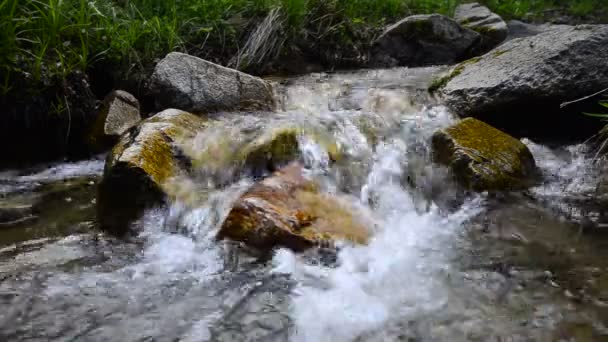 Corriente de montaña — Vídeos de Stock