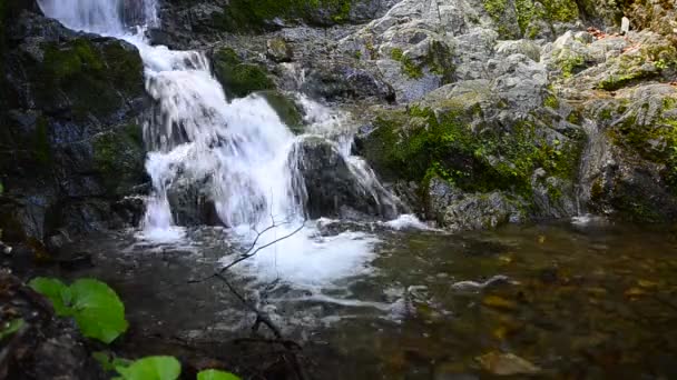 Гірський потік водоспад — стокове відео