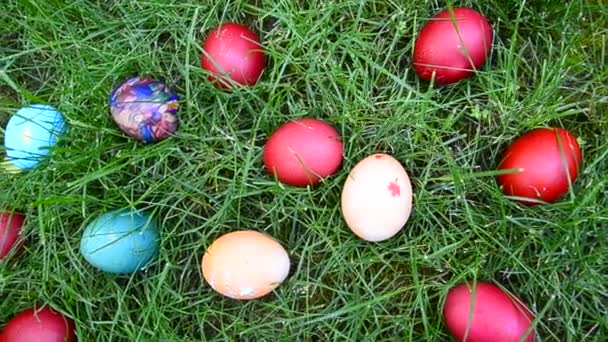 Caza de huevos de Pascua en la hierba, primer plano — Vídeo de stock