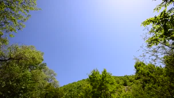 Барвисті водоспад у глибині лісу фону, кран стріляти — стокове відео