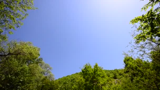 Colorida cascada en el fondo del bosque profundo, Grúa disparar — Vídeo de stock