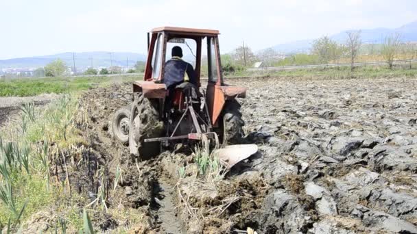 Трактор работает в поле — стоковое видео