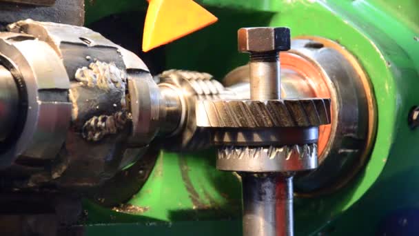 Cogwheel produção e serviço de máquina industrial, engrenagens rotativas visão inferior — Vídeo de Stock