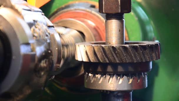 Producción de rueda dentada y servicio máquina industrial engranajes giratorios macro vista — Vídeos de Stock