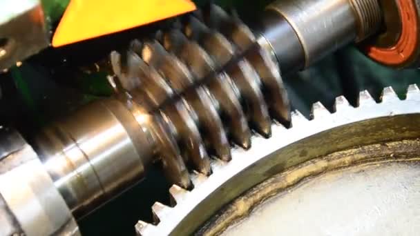 Wormwhee vistuig, tandrad productie en service industriële machine, roterende versnellingen extreme close-up weergave — Stockvideo