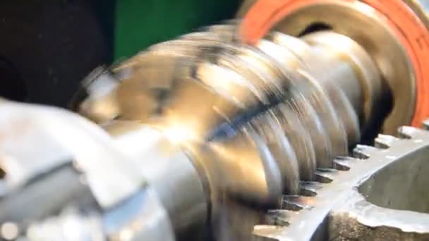 Wormwhee gear, cogwheel production and service industrial machine, rotating gears extreme closeup view — Stock Video