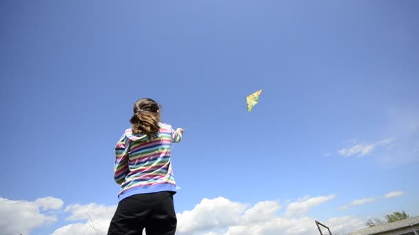 Молодий хлопець літає з повітряним змієм, широкий кут — стокове відео
