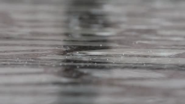 Un primo piano di forte pioggia sull'acqua. Buon suono. ! — Video Stock