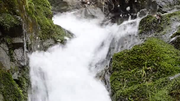 Waterval in de bergen — Stockvideo