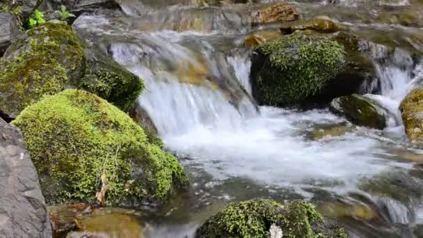 Waterval in de bergen — Stockvideo