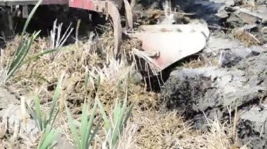 traktör, arazi closeup çalışma