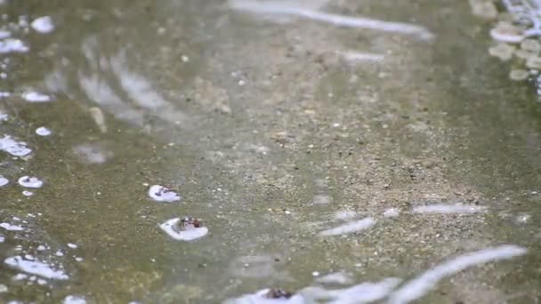 Imagens de close-up gotas de chuva na superfície da água — Vídeo de Stock