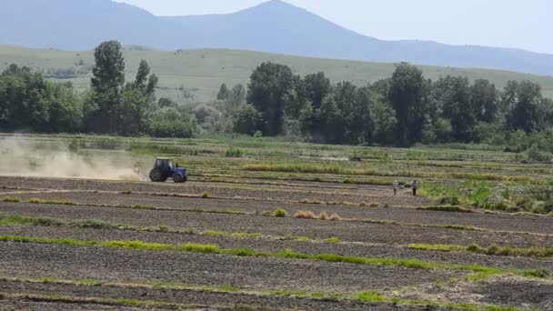 Lavorare la terra, trattore di lavorazione del suolo all'inizio della primavera — Video Stock