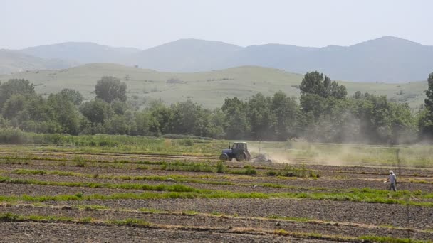 Работая на земле, трактор обрабатывает почву ранней весной — стоковое видео